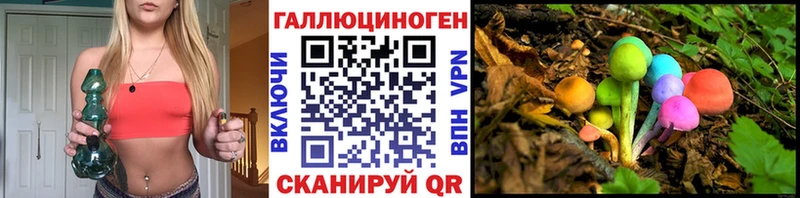 Галлюциногенные грибы Psilocybe  что такое   Сусуман 